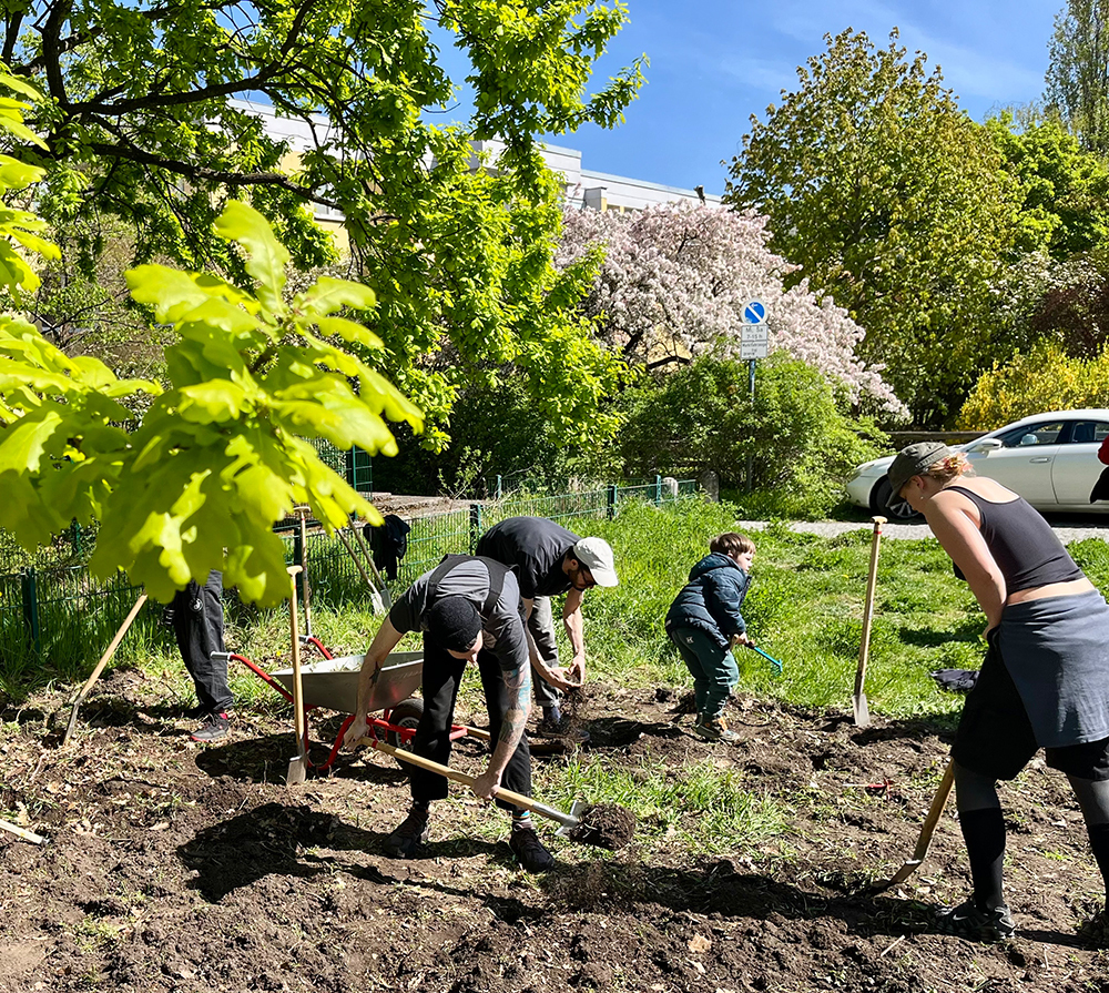 Bild der Initiative Kreisler e.V. von der Anlage einer Wildblumenwiese