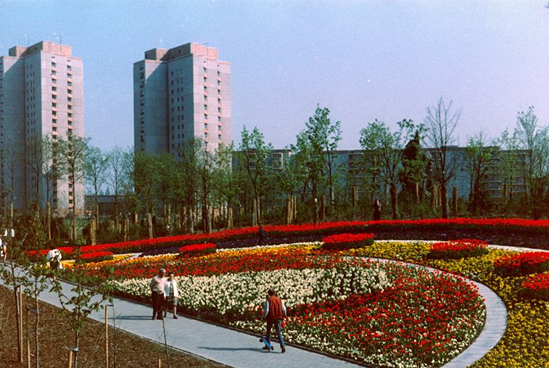 Blumenrondell im Ernst-Thälmann-Park, 1985