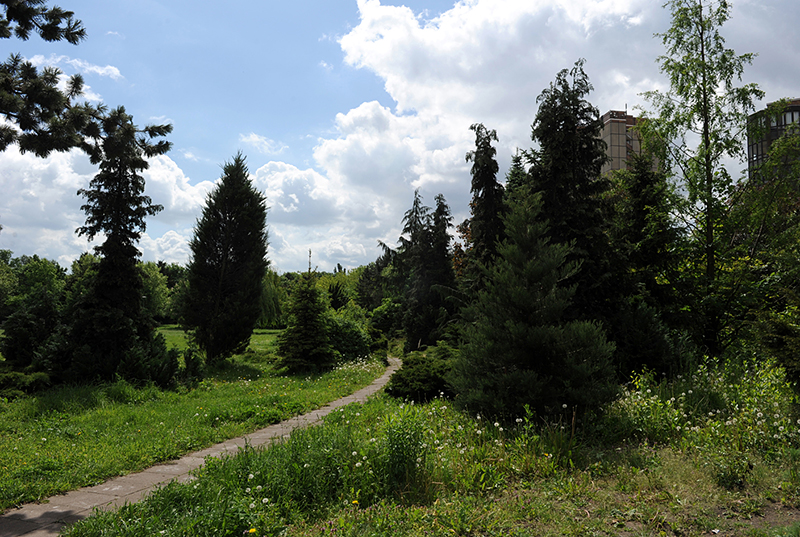 Park mit Weide und Hochhaus, 2013