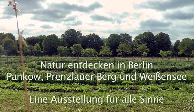 Natur entdecken in Berlin-Pankow, Prenzlauer Berg und Weißensee - Video-Standbild