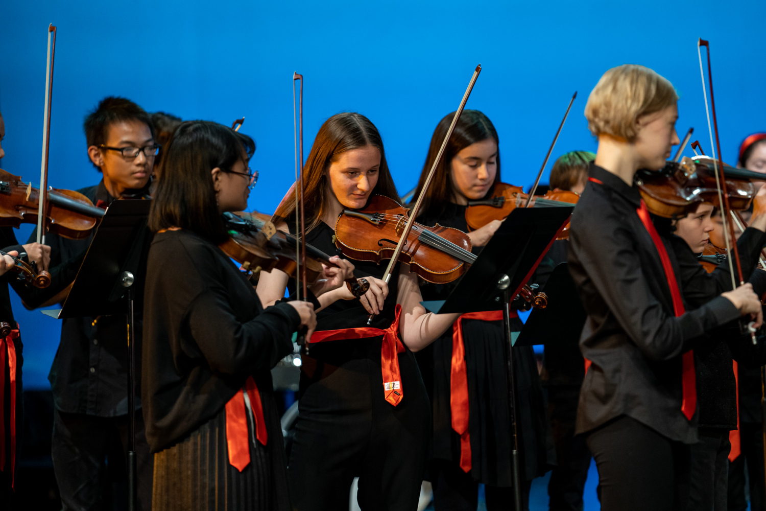 Mehrere Mädchen spielen Geige
