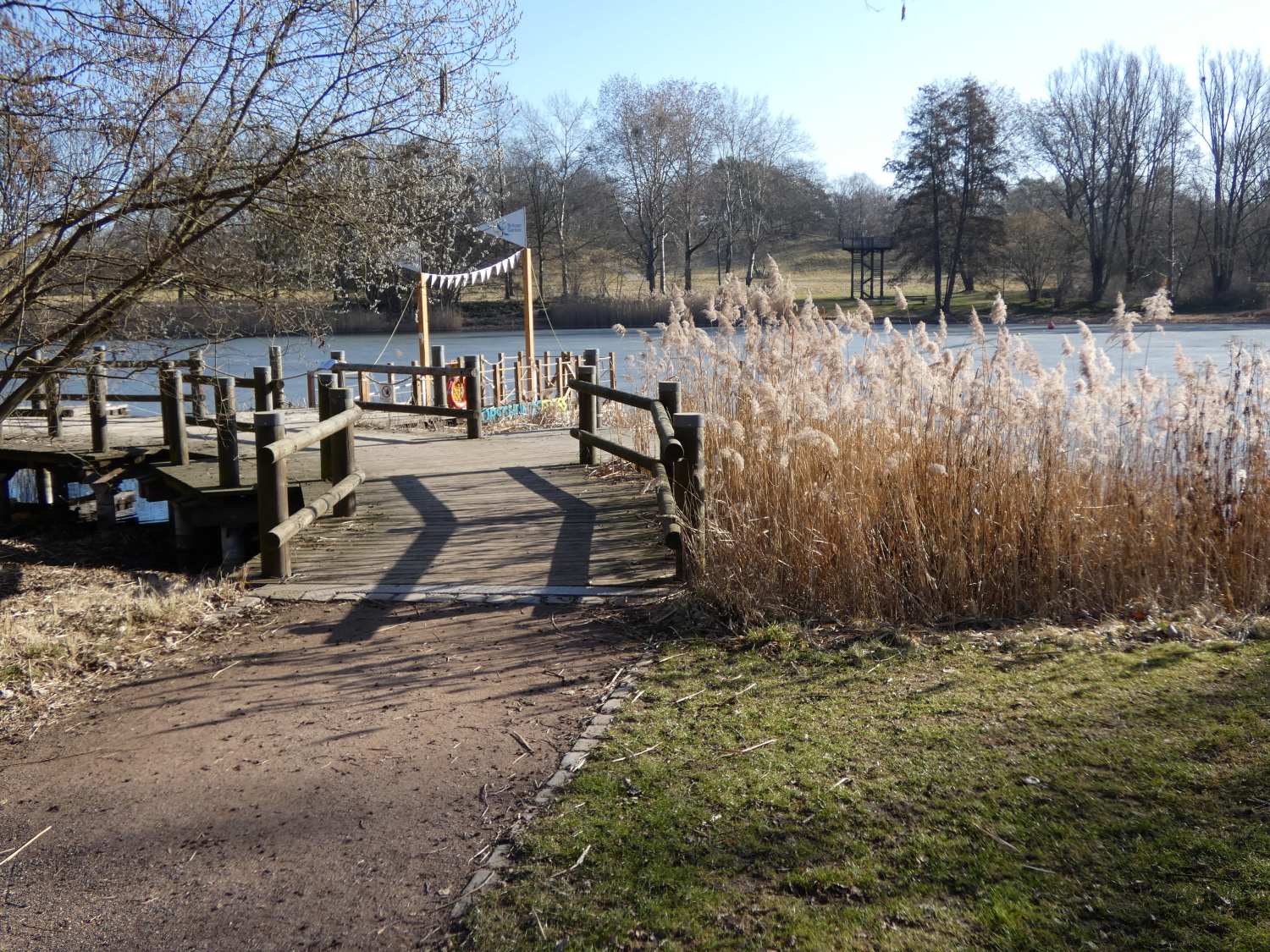 Britzer Garten - Anlegestelle mit Schilfbewuchs