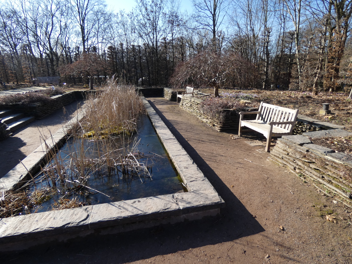 Wasserbecken im Britzer Garten