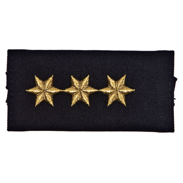 Polizeidirektorin/Polizeidirektor (PD'in/PD)