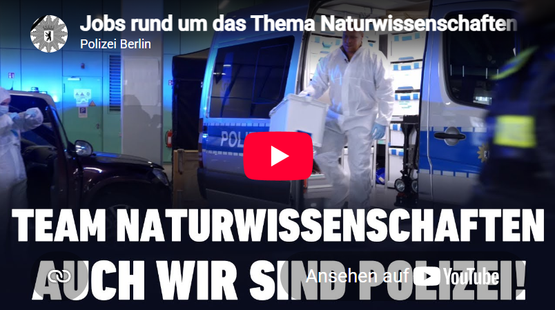Vorschau YouTube