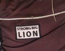 Sweatshirt mit Label Strong Big Lion