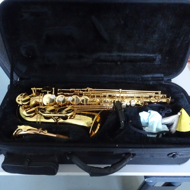 Saxophon im Koffer