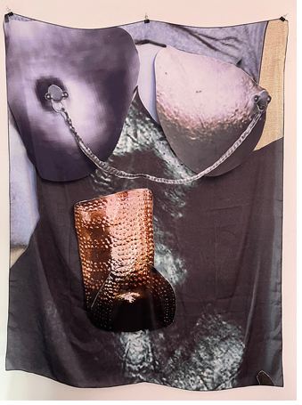 Kunstwerk 3 cassandras belly