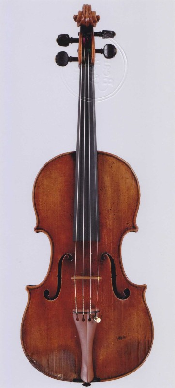 Violine-1_868576