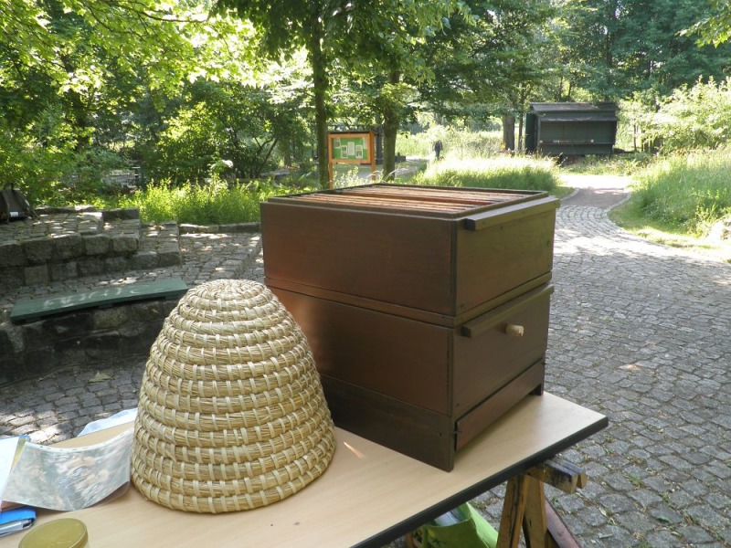 Bienenlehrgarten