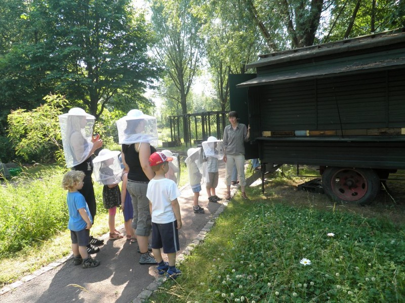Bienenlehrgarten