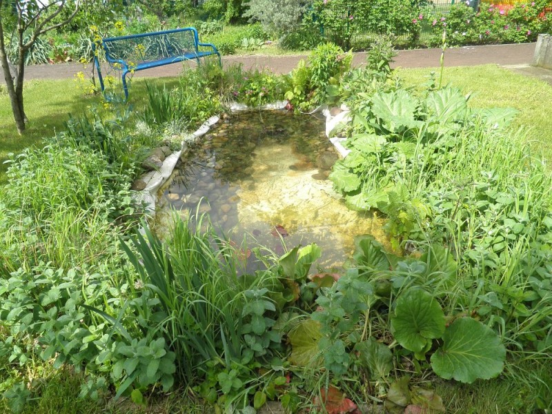 Teich im Garten der Garten der Begegnung
