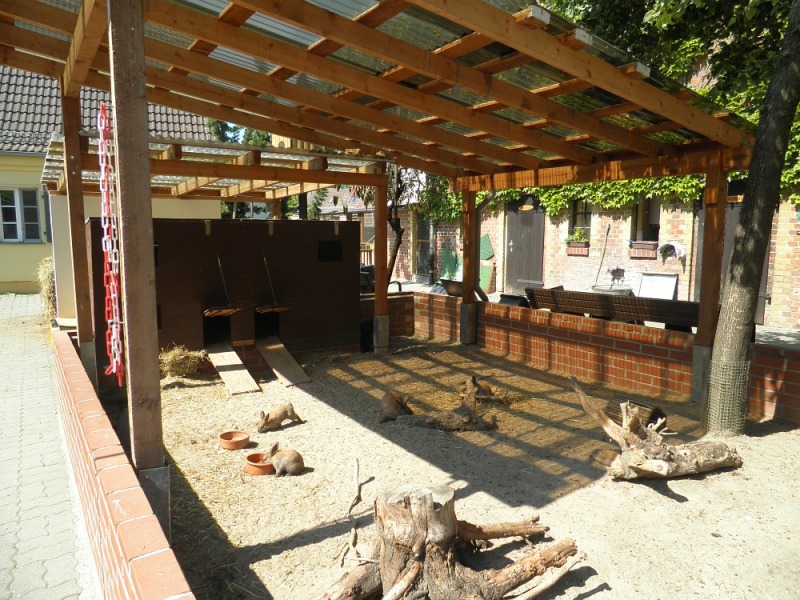 Kaninchengehege im Freien mit Schutzdach