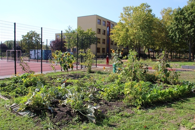 integrierte urbane Gärten