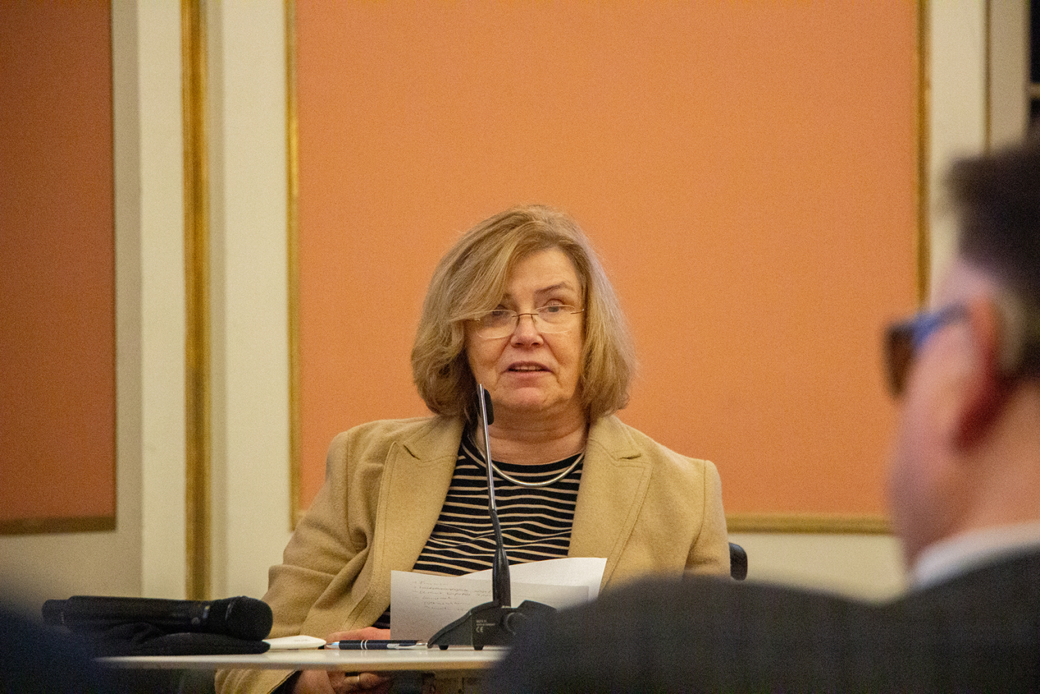 Kathrin Geyer - Landesbeirat für Menschen mit Behinderungen