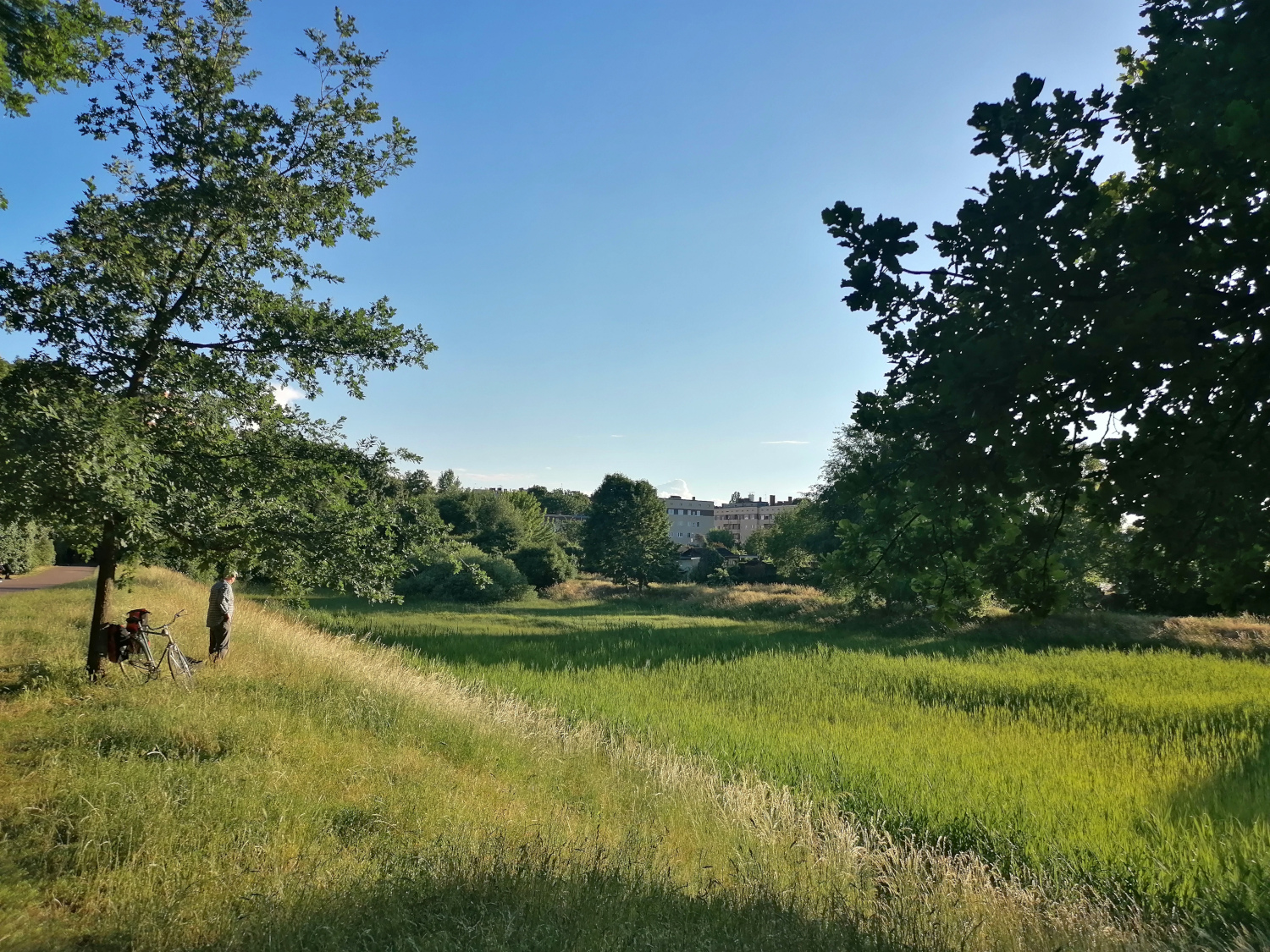 Untersuchungsraum Osloer Straße, Hochwasserüberlauf Franzosenbecken, 11.06.2026