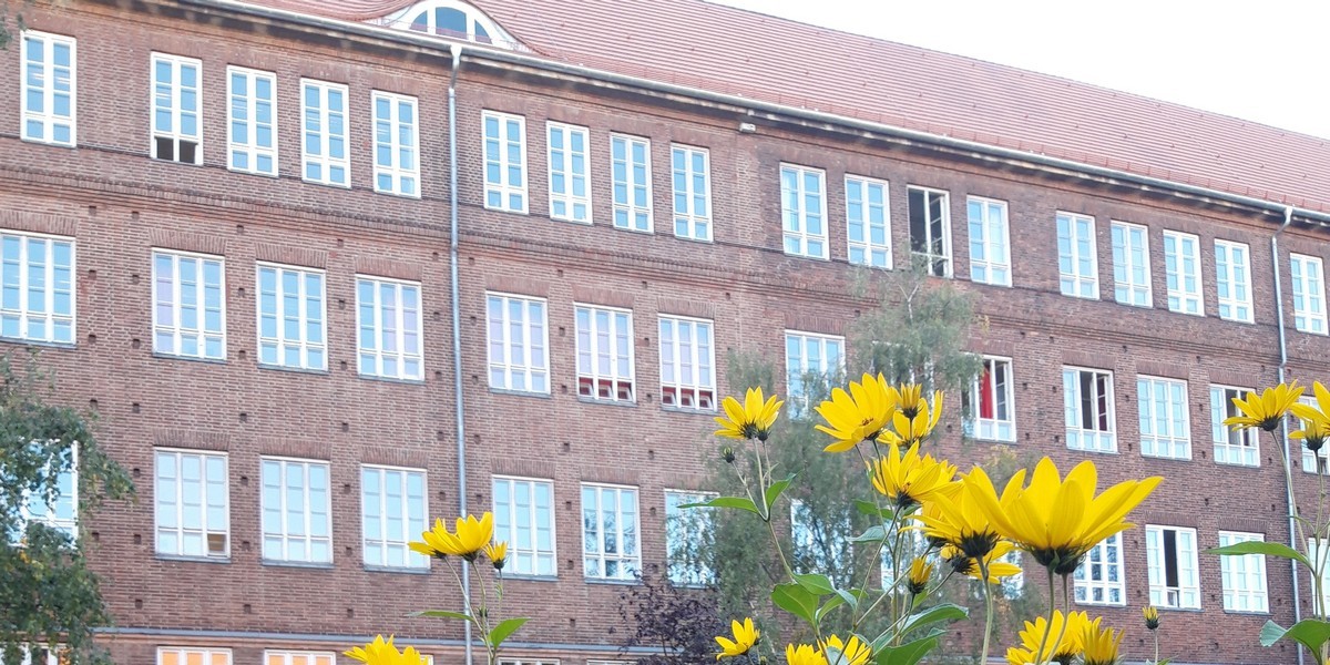 Gottfried-Keller-Gymnasium: Topinambur auf dem Schulhof