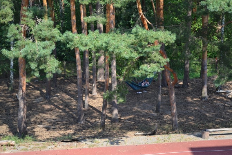 W-I-R-Grundschule Pfefferwerk: Wäldchen