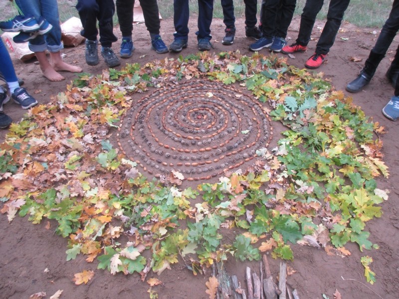 W-I-R-Grundschule Pfefferwerk: Landart-Projekt