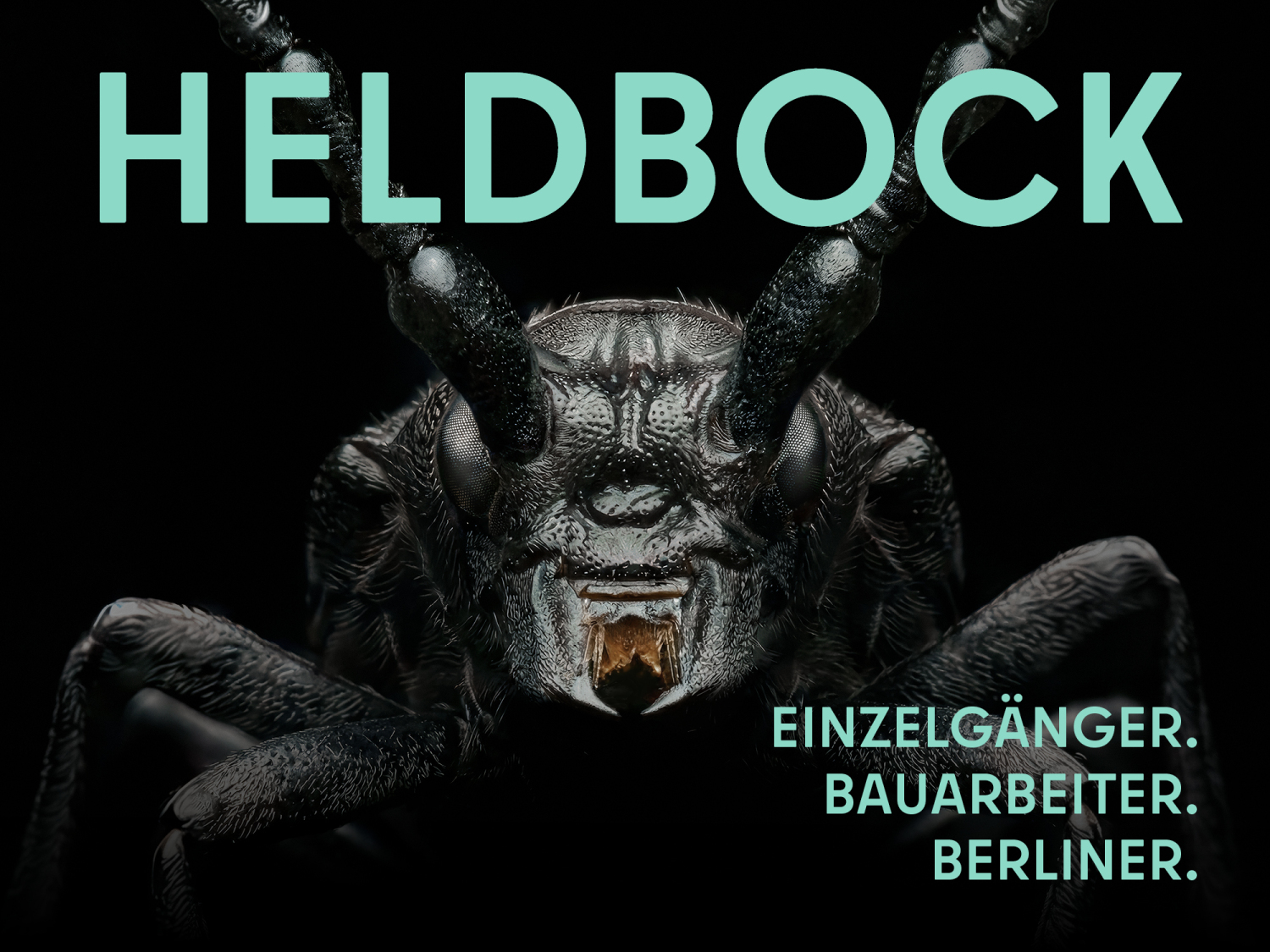 Heldbock (Portrait). Nahaufnahme des Kopfes eines Heldbocks vor schwarzem Hintergrund; Kopf und Fühler sind schwarzbraun und runzlig. Zwischen den Beißwerkzeugen schimmert ein rostbrauner Harztropfen; Titel „Heldbock“ mit den Worten „Einzelgänger. Bauarbeiter. Berliner.“ in hellgrüner Schrift.