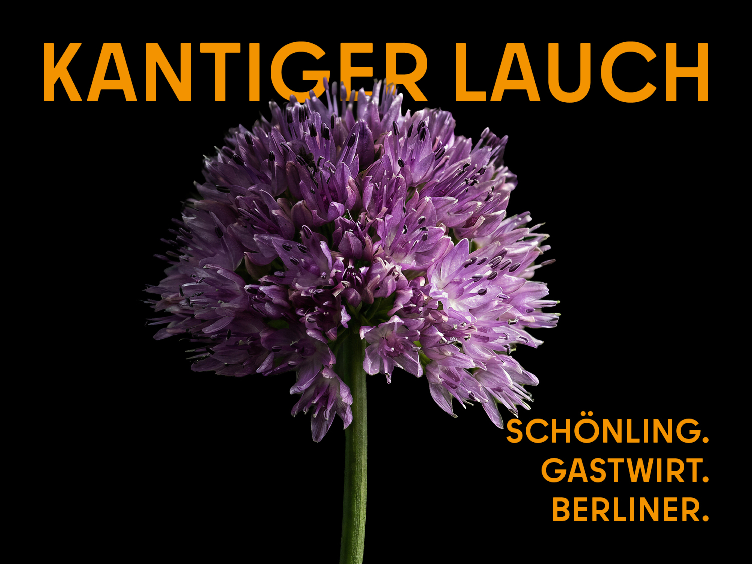 Kantiger Lauch (Portrait). Nahaufnahme der hellpurpurfarbenen Blüte des Kantigen Lauchs; Die Blüten stehen in einem kugelförmigen dichten Blütenstand zusammen; Titel „Kantiger Lauch“ und die Worte „Schönling. Gastwirt. Berliner.“ in orangefarbener Schrift.