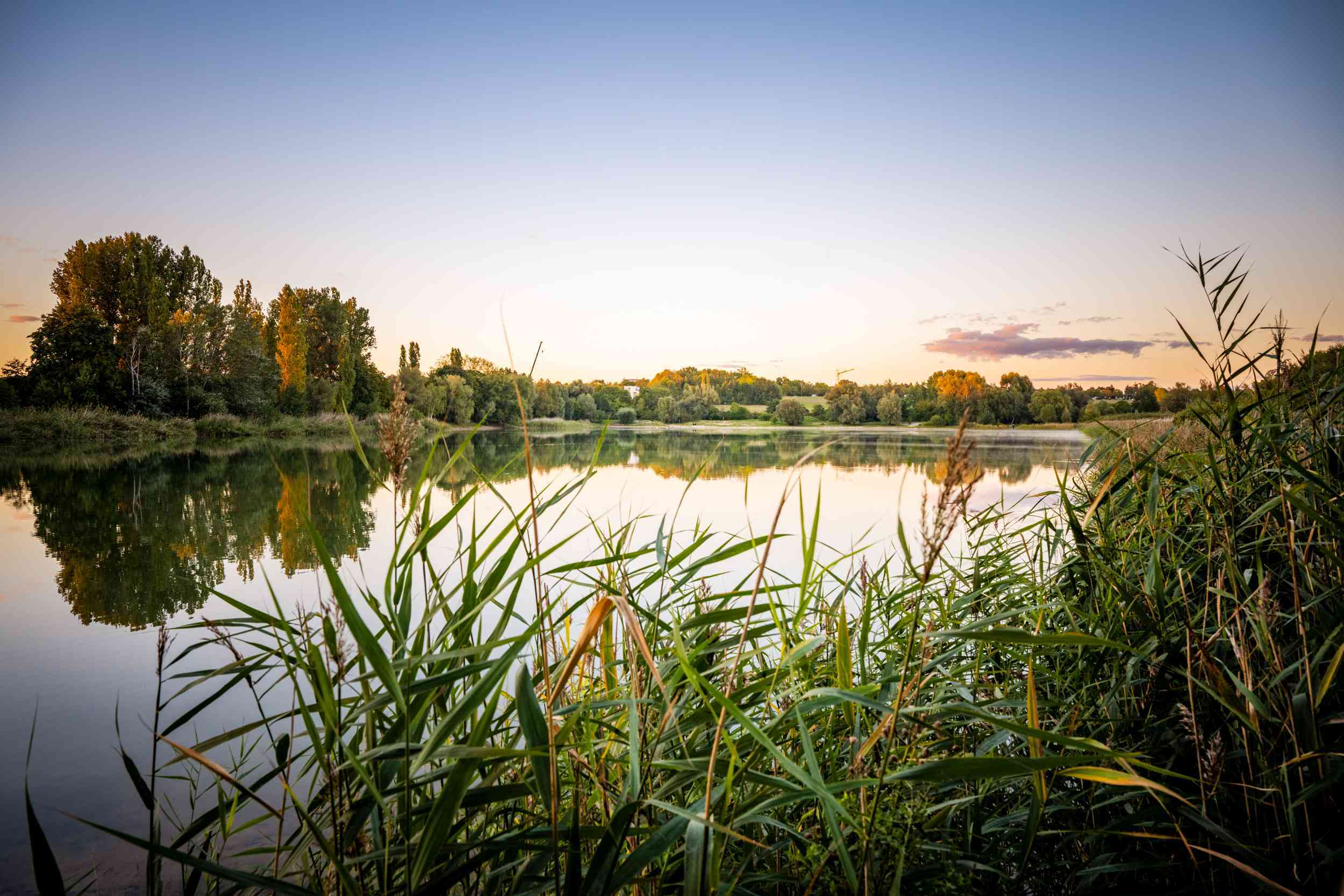 Landschaftsschutzgebiet „Kaulsdorfer Seen“ 