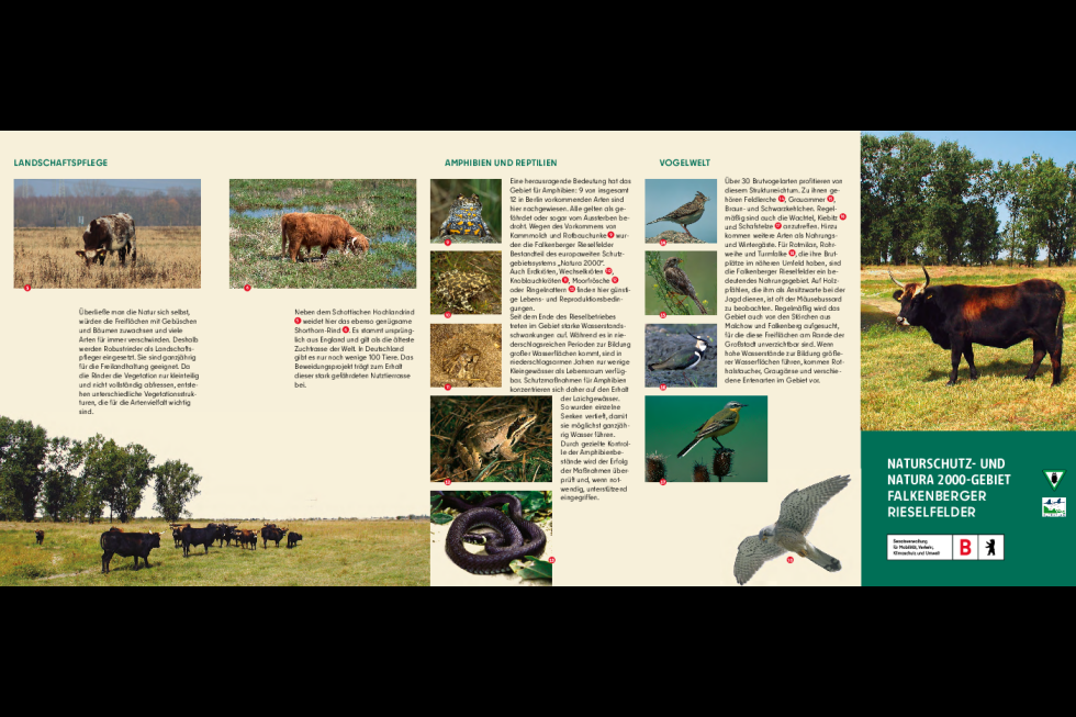 Naturschutz- und NATURA 2000-Gebiet Falkenberger Rieselfelder