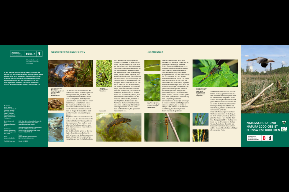 Naturschutz- und NATURA 2000-Gebiet Fließwiese Ruhleben