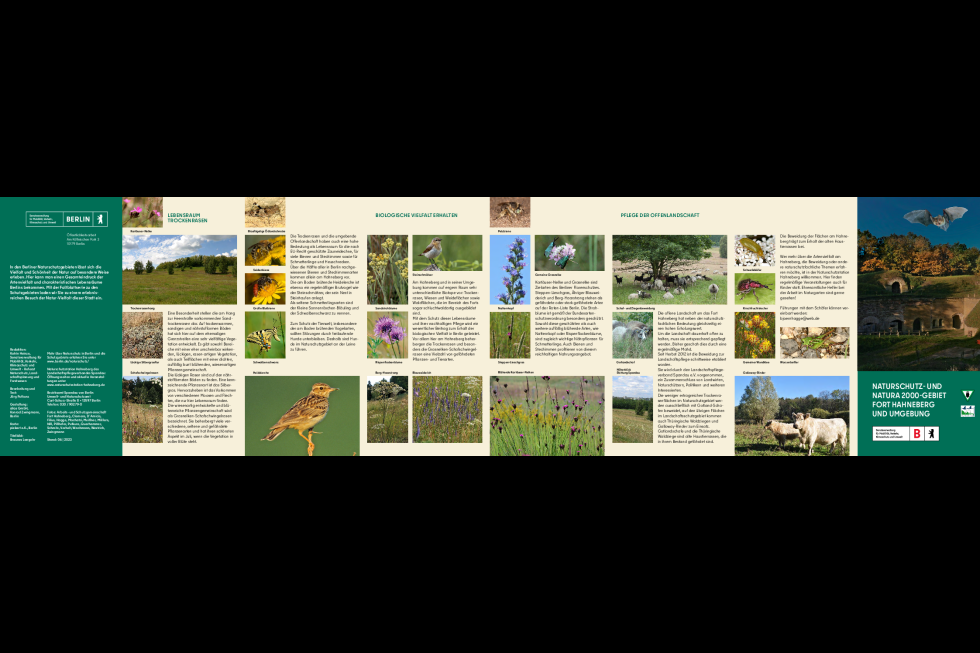 Naturschutz- und NATURA 2000-Gebiet Fort Hahneberg und Umgebung