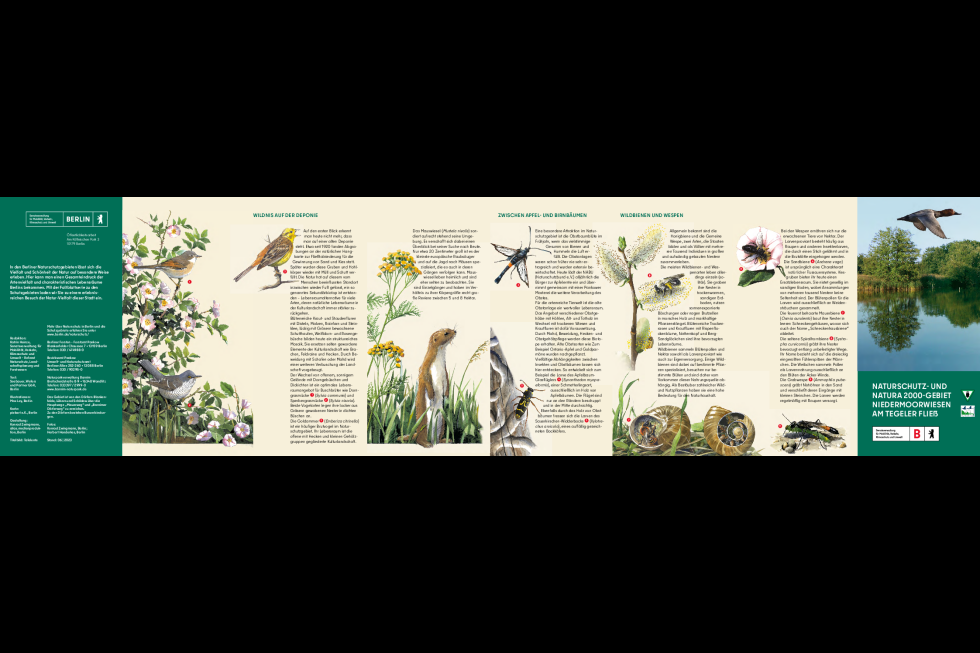 Naturschutz- und NATURA 2000-Gebiet Niedermoorwiesen am Tegeler Fließ