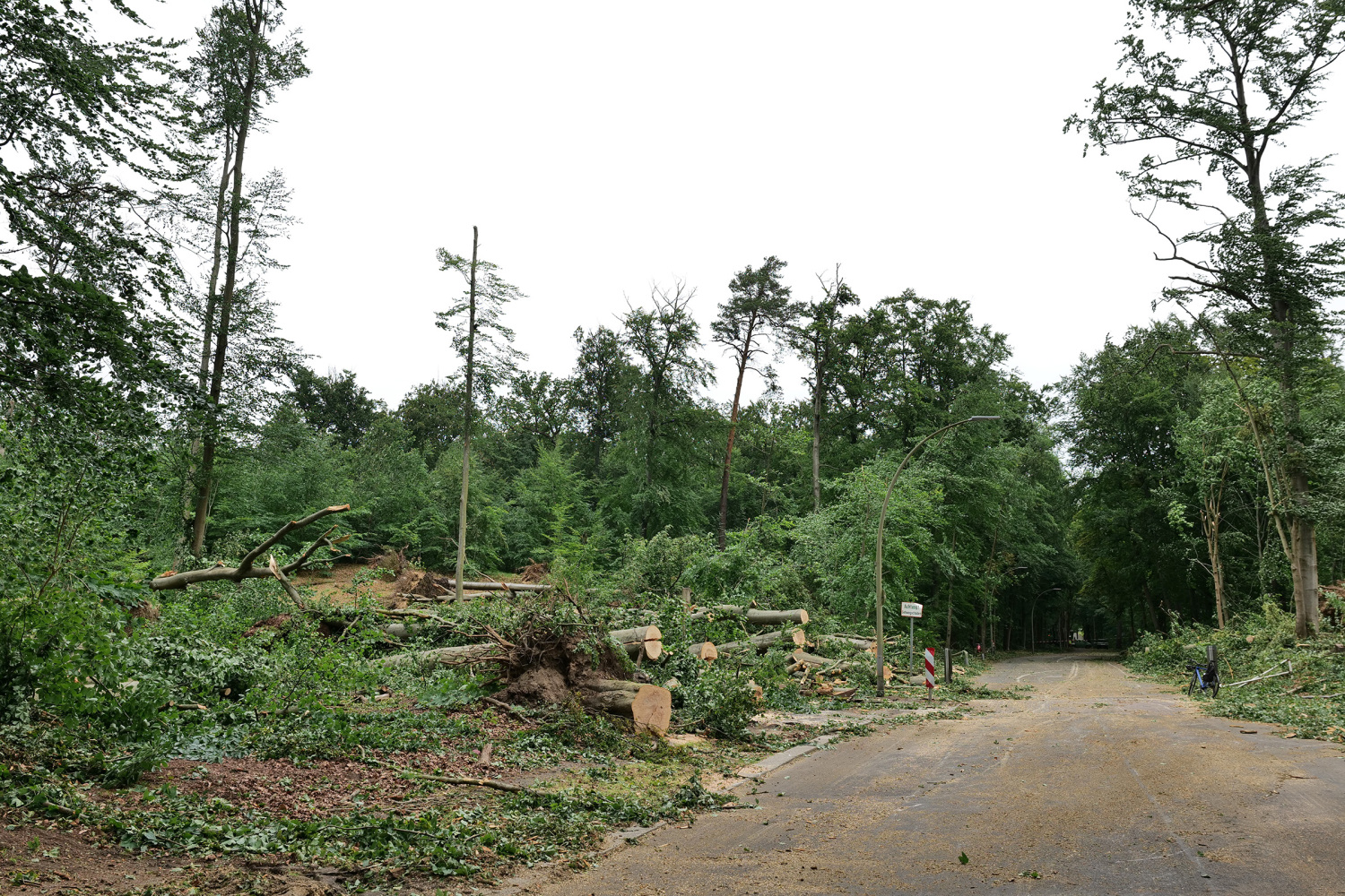 Sturmschäden im Tegeler Forst, Juni 2025