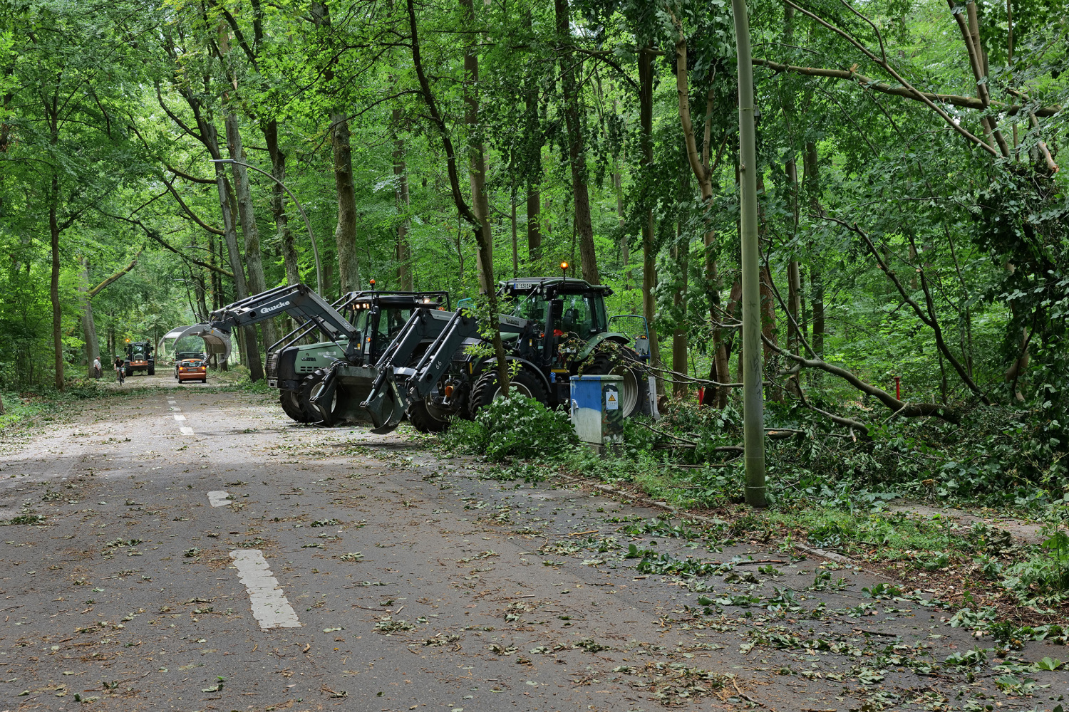 Sturmschäden im Tegeler Forst, Juni 2025