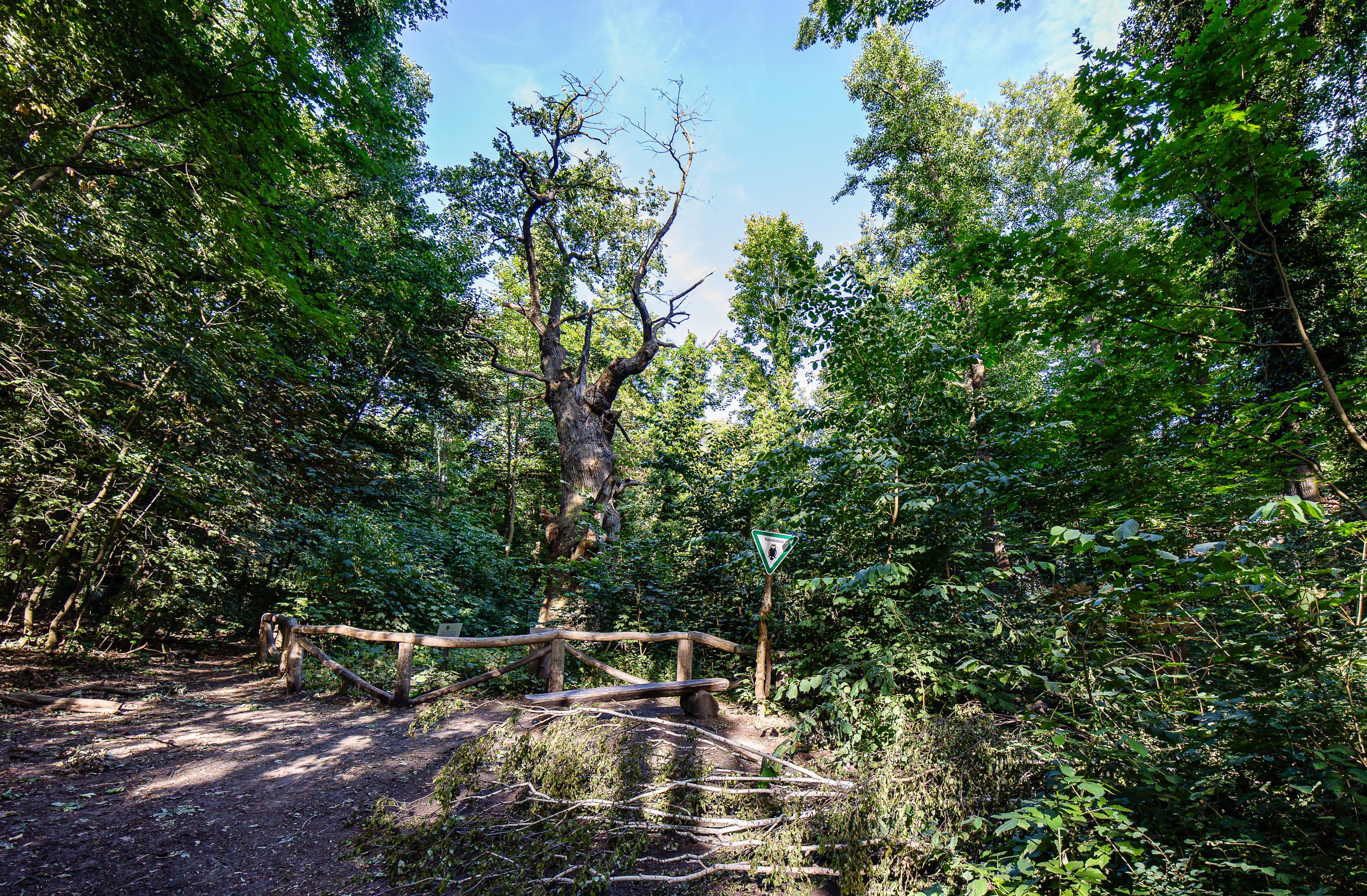 DIe dicke Marie hat Sturm Ziros überlebt