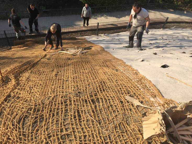Netzeinbau zur Hangbefestigung