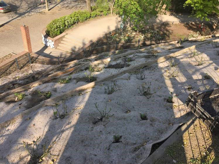 Hang mit Bepflanzung