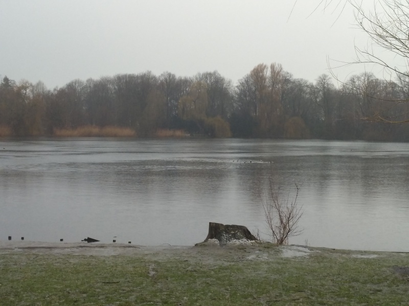 Der Schäfersee in Reinickendorf im Winter