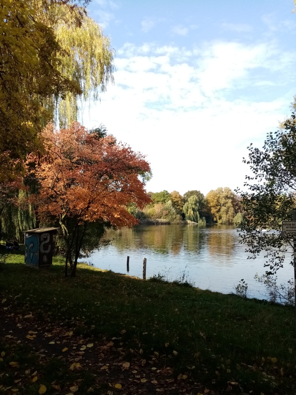 Der Schäfersee in Reinickendorf im Herbst