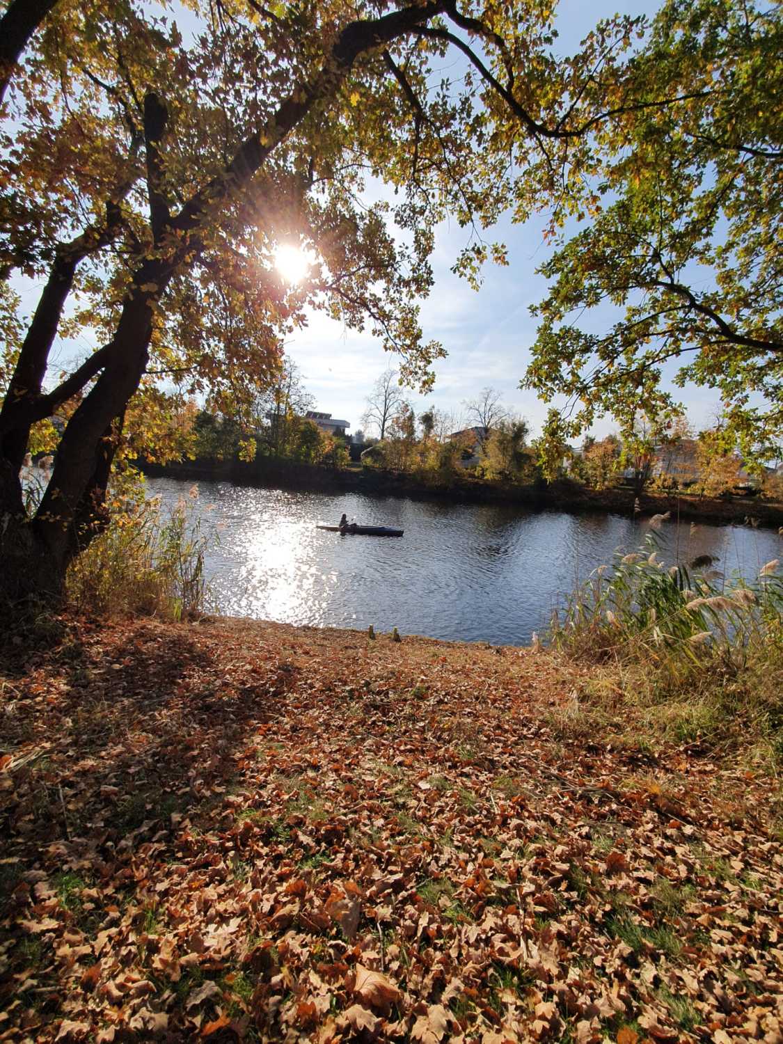 Im Vordergrund eine Wiese auf der viele braune Blätter liegen. Im Hintergrund sieht man Wasser. Es ist der Teltow Kanal. Mittig im Bild auf dem Kanal unterwegs ist ein Kanu zu sehen mit einer Person darin. Auf der anderen Uferseite sieht man ebenfalls viele Bäume. Der Bildausschnitt ist rechts und links umrandet von Bäumen.