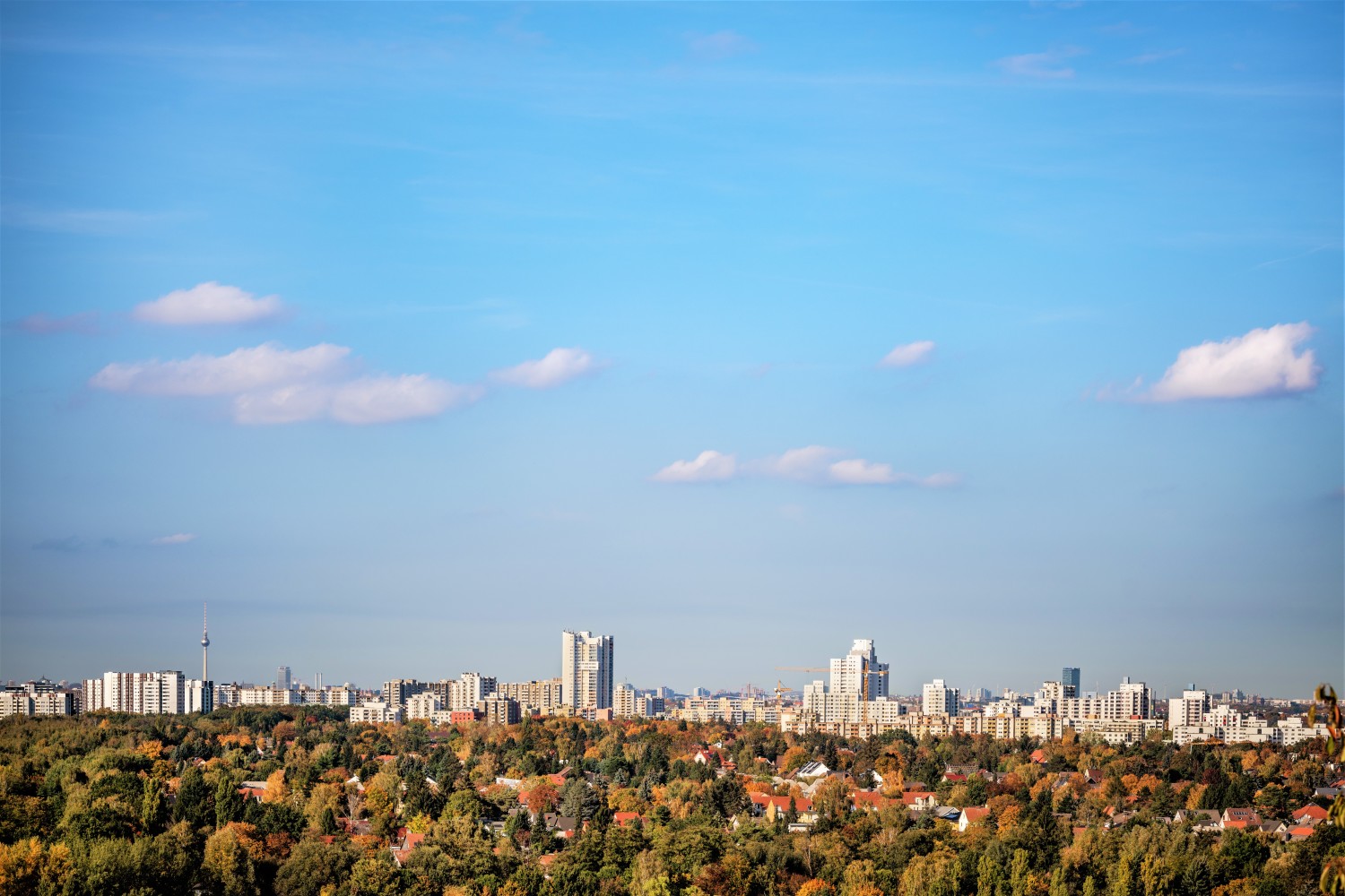 Aussicht auf Berlin. Im unteren Bildteil Bäume im Hintergund Häuser und der Fernsehturm.