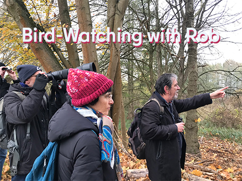 eine Gruppe in der Natur beobachtet Vögel - Kursleiter zeigt in eine Richtung