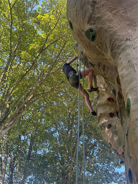 Ein Mann klettert am Kletterfelsen. Blick von unten nach oben in die Baumkronen und den Himmel.