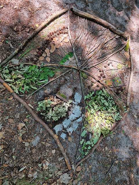 Waldbaden: ein gelegtes Mandala aus Naturmaterialien auf dem Waldboden