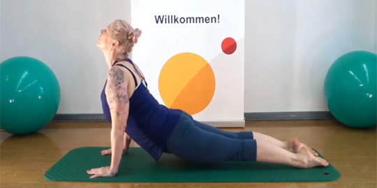 Yoga Hund