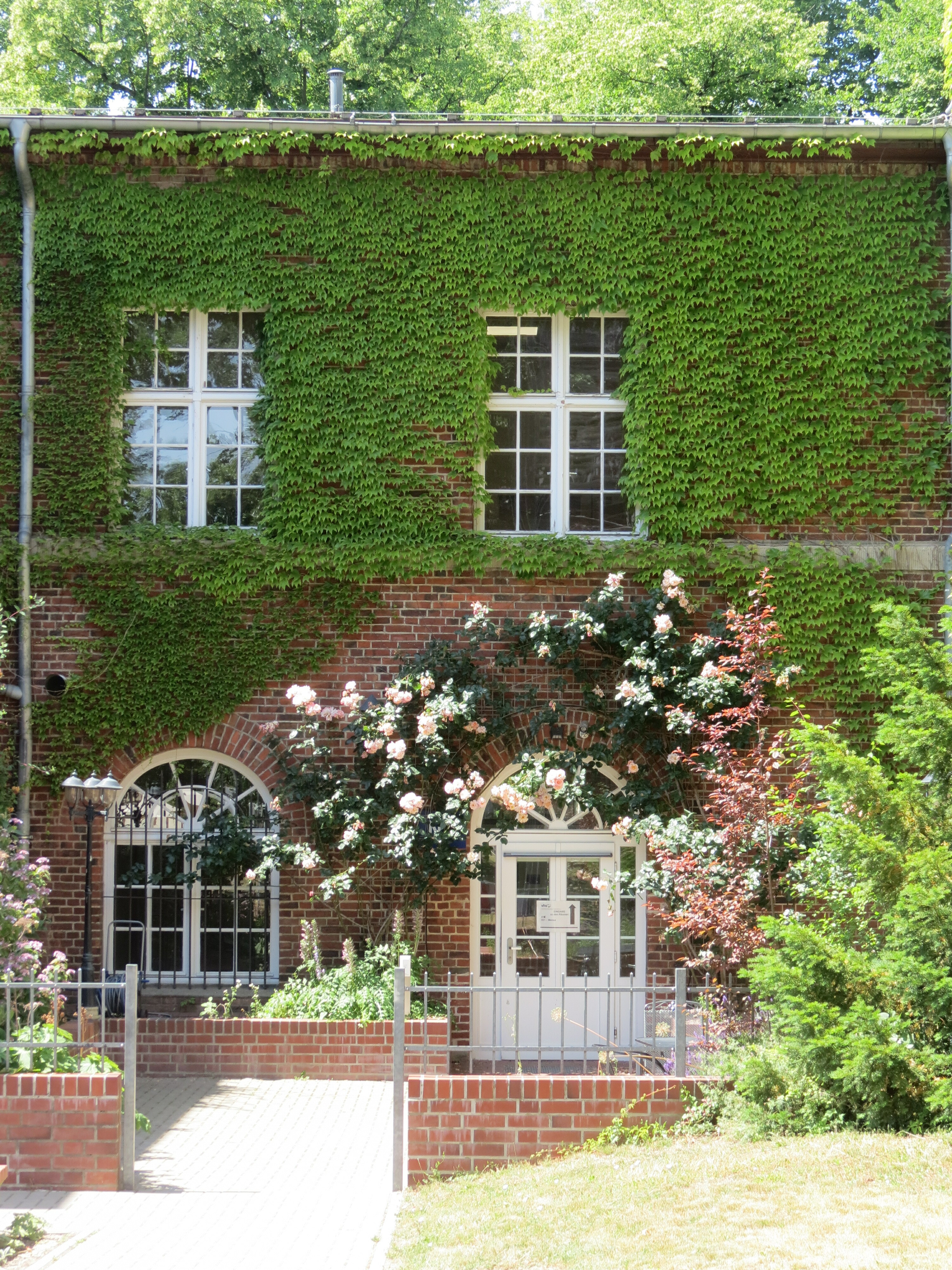 Fassade der VHS Steglitz-Zehlendorf berankt mit Pflanzen