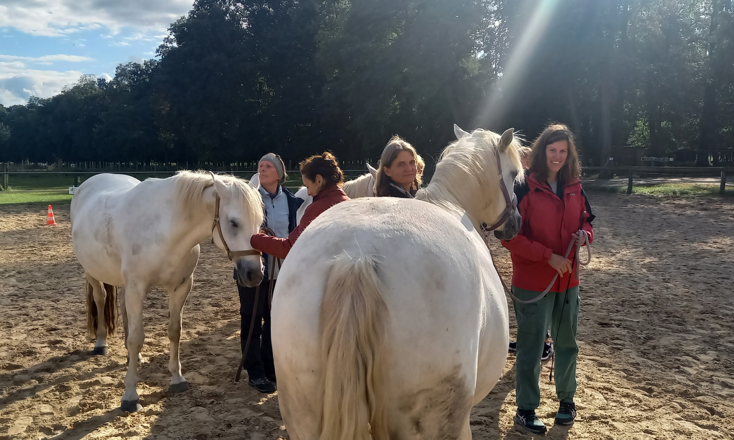 Kursleiter*innen trainieren mit Pferden
