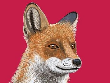 Cover des VHS-Programmhefts